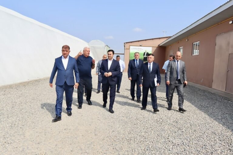 Samux rayonunda iri fermer təsərrüfatında keçirilən monitorinq prosesi