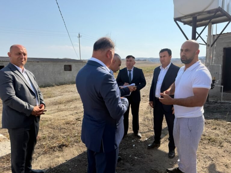 Samux rayonunda iri fermer təsərrüfatında keçirilən monitorinq prosesi