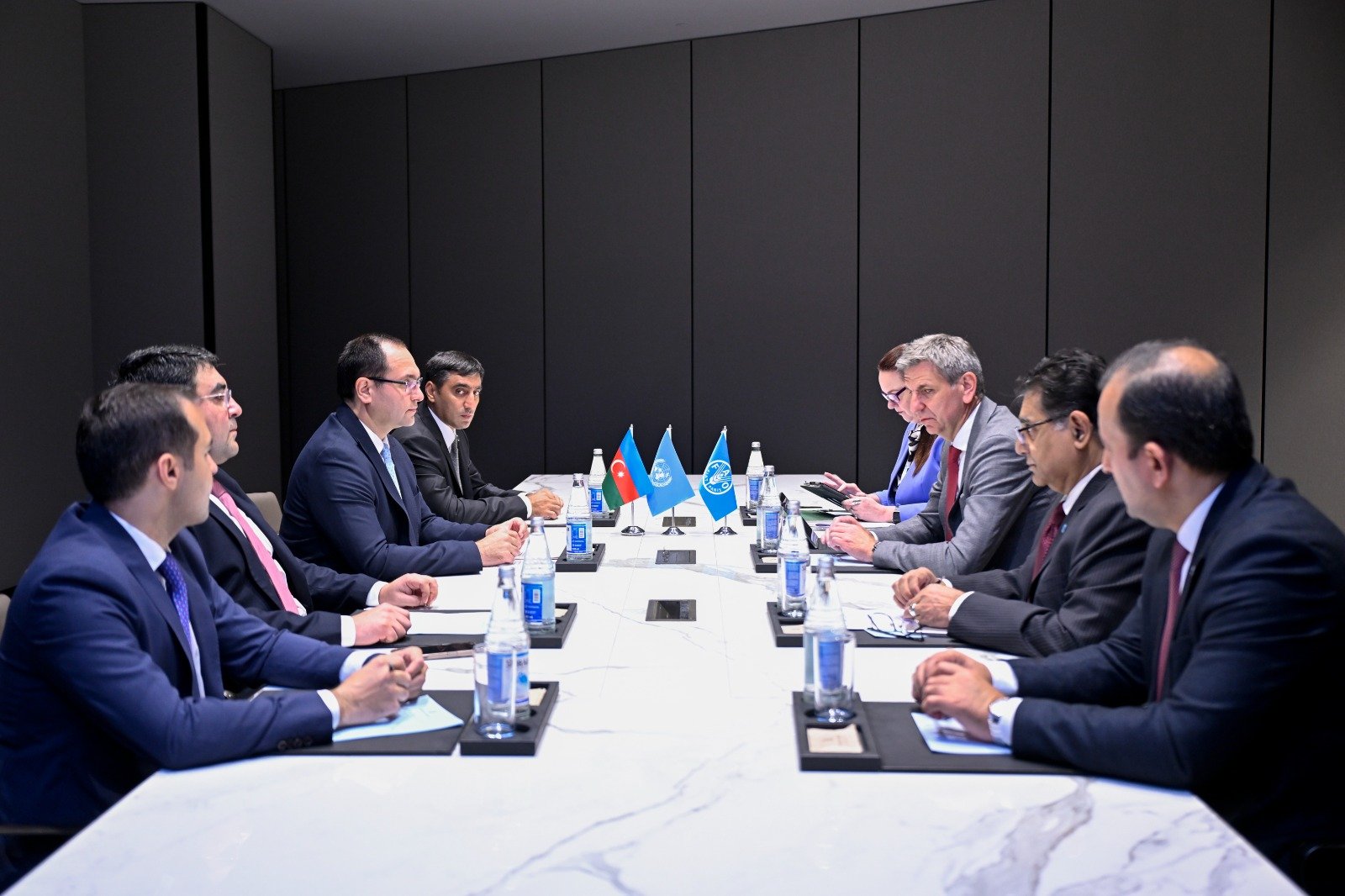 Majnun Mammadov meets FAO Regional Representative Viorel Gutu