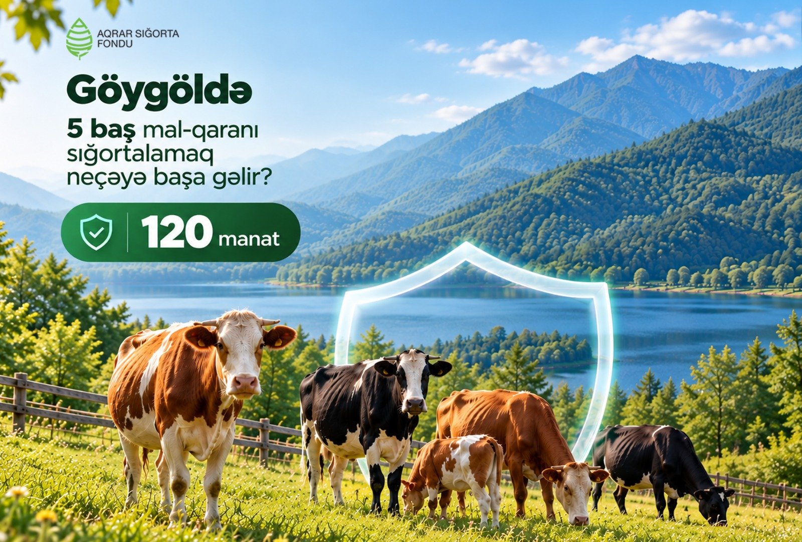 Livestock insurance protects cattle farmers from unexpected financial losses