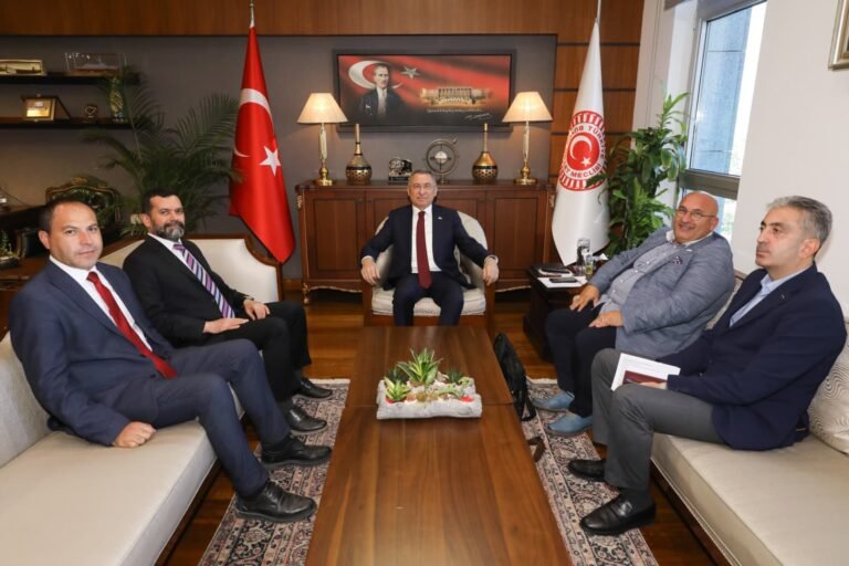 TİGAD delegation meeting with Fuat Oktay at the Grand National Assembly of Turkey