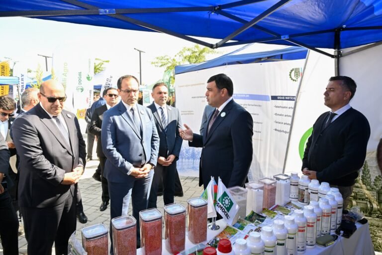 Participants viewing exhibition stands at the 100th Anniversary Agrarian Business Festival in Aghdam district