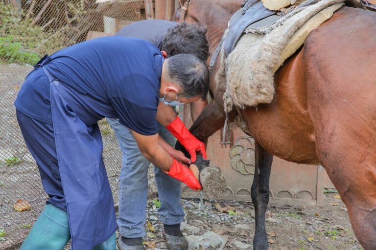 Field visit by the Agrarian Services Agency in Hasanriz village, Aghdara district