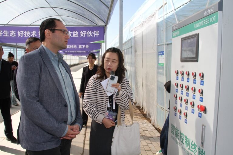 Azerbaijani agriculture delegation visiting a smart greenhouse complex in Yinchuan, China