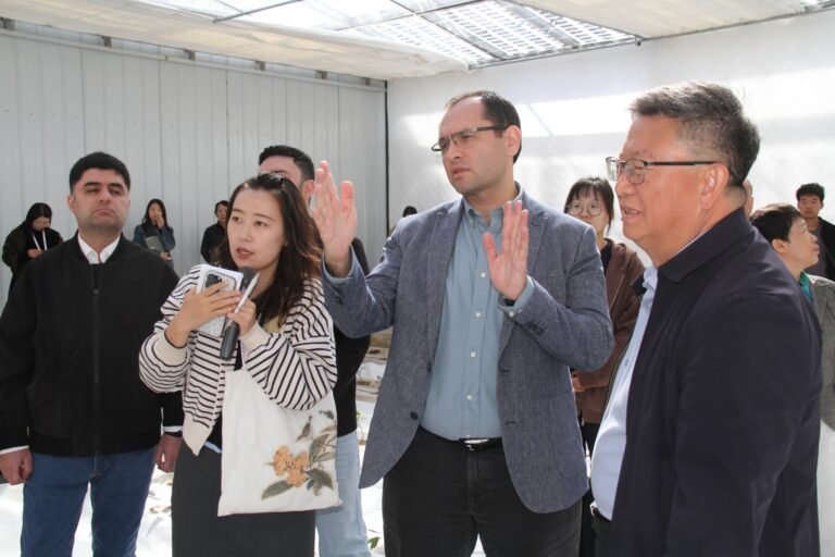 Azerbaijani agriculture delegation visiting a smart greenhouse complex in Yinchuan, China