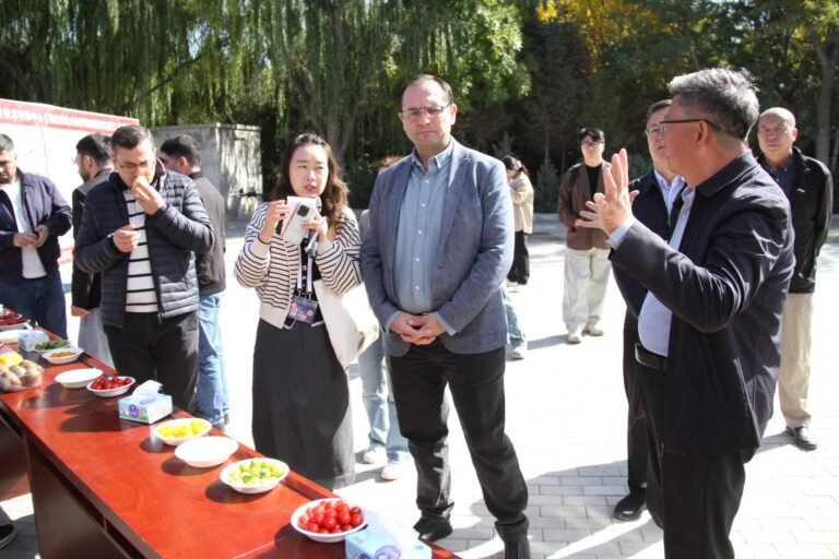 Azerbaijani agriculture delegation visiting a smart greenhouse complex in Yinchuan, China