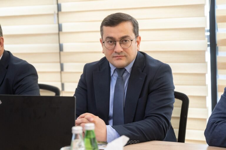Китайские компании рассматривают инвестиции в аграрный сектор Азербайджана