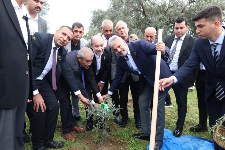 Zeytun, Olive Oil and Gastronomy Festival Opens in Türkiye with Great Enthusiasm