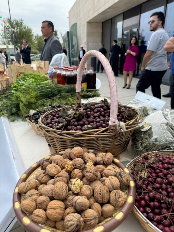 Zangilan Town Day marked with pilaf festival in town centre