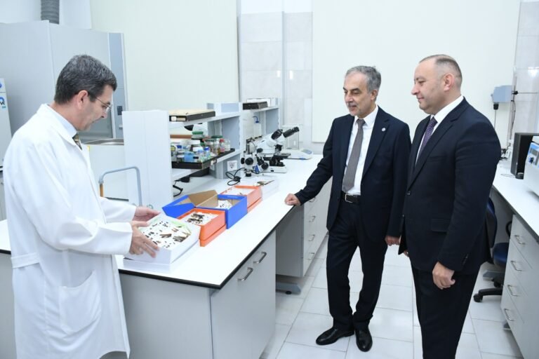 ADAU-Ege beynəlxalq ikili diplom proqramının rəhbər komitəsinin növbəti görüşü keçirilib