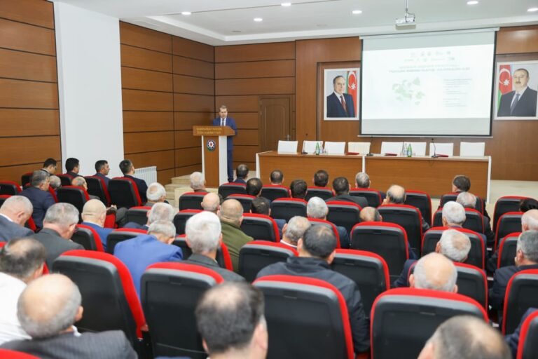 В Сабирабаде прошли панельная дискуссия и ярмарка семян по механизмам господдержки в аграрном секторе