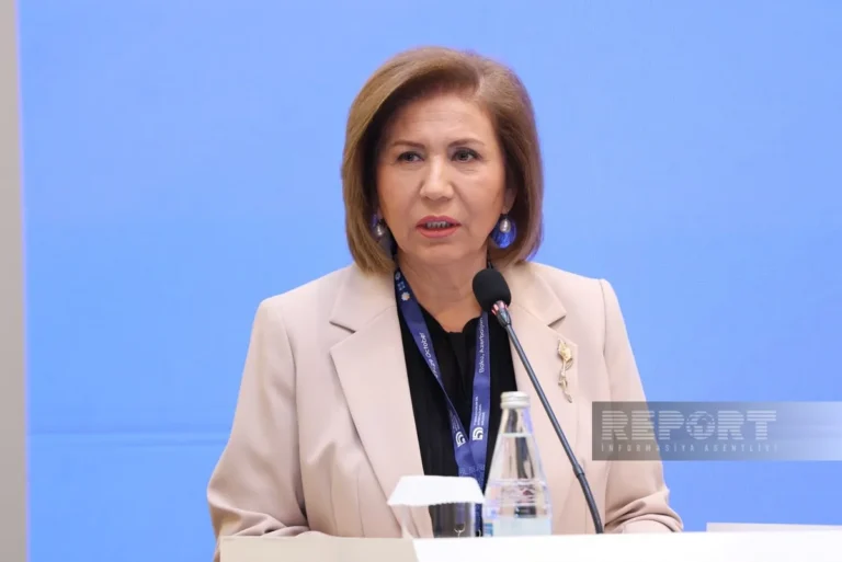 İƏT-in Baş katibi Azərbaycanda təqaüdlə təhsil alan xarici tələbələrlə görüşüb